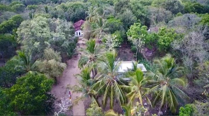 Soma Cabana, Homestay & Restaurant Tangalle Exterior photo