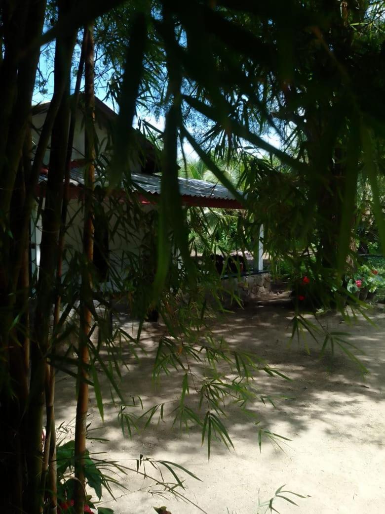 Soma Cabana, Homestay & Restaurant Tangalle Exterior photo