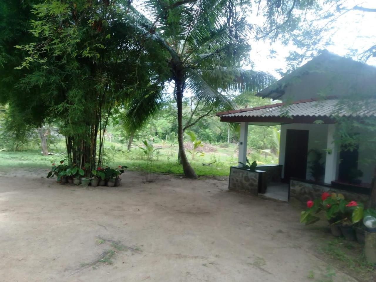 Soma Cabana, Homestay & Restaurant Tangalle Exterior photo